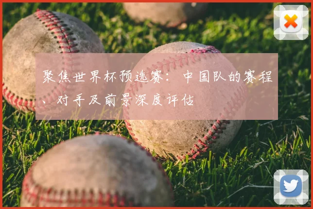 聚焦世界杯预选赛：中国队的赛程、对手及前景深度评估