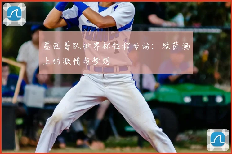 墨西哥队世界杯征程专访:绿茵场上的激情与梦想