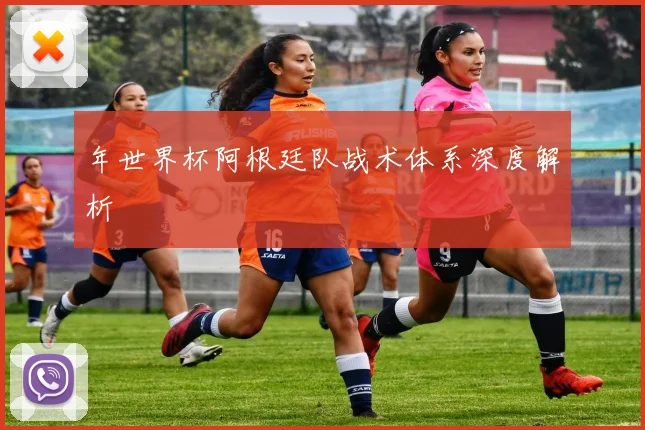 年世界杯阿根廷队战术体系深度解析