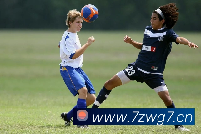 App Interface Preview